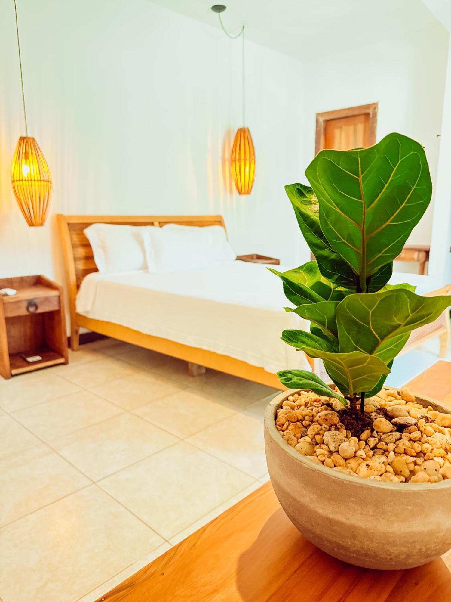 Villa Santa Fe Búzios エクステリア 写真